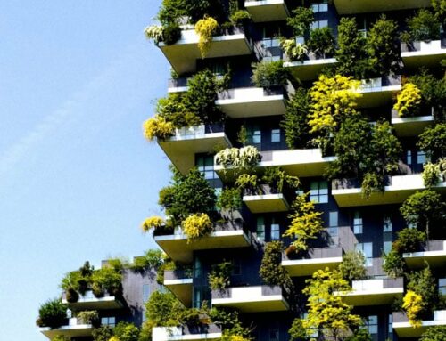 10 Reformas sostenibles que revalorizan tu vivienda